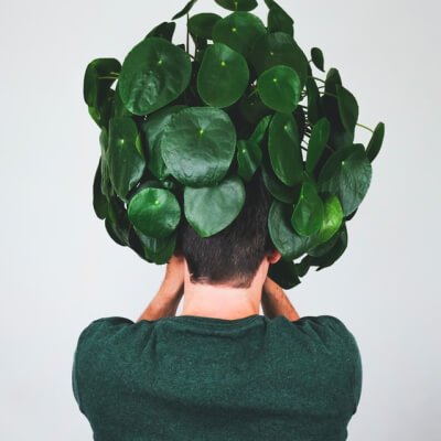 Plants Store Gallery Img 3