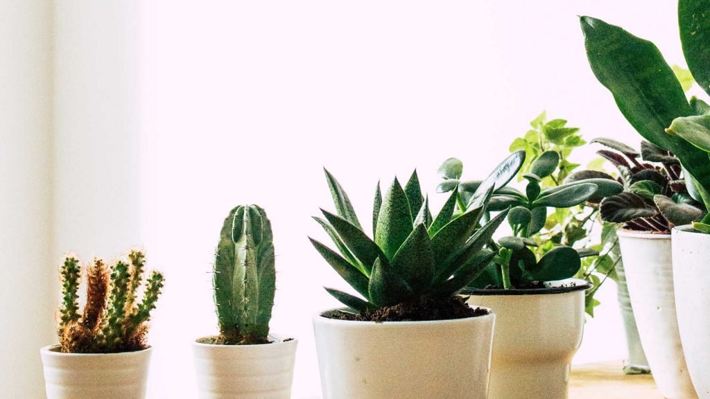 Footer Background 1024x576 1