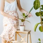 Plants Store Story Section Img 150x150 1